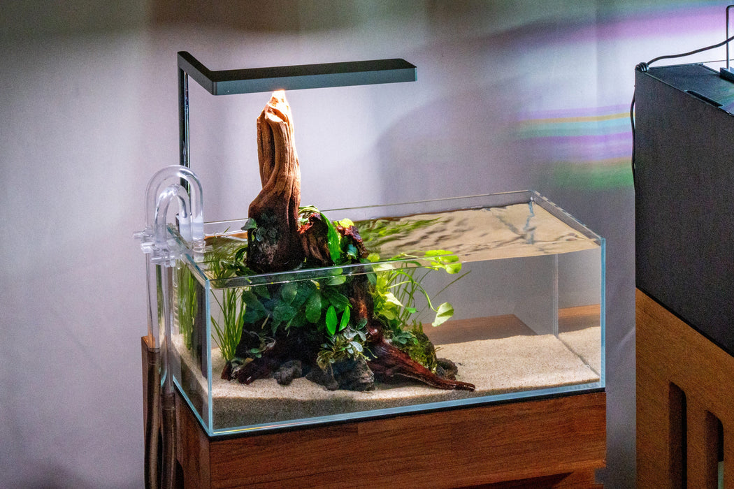 Matching Light to Your Livestock (Freshwater and Reef)