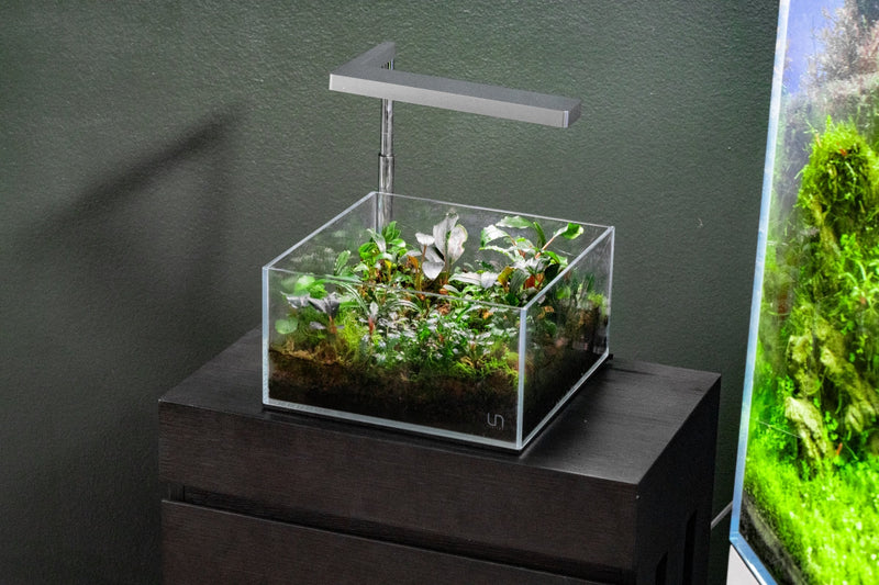 ONF Flat Nano Stand Kit Lighting - Buce Plant