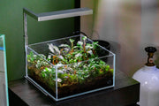 ONF Flat Nano Stand Kit Lighting - Buce Plant