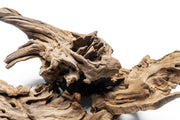 Pacific Driftwood Stump Driftwood - Buce Plant
