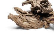Pacific Driftwood Stump Driftwood - Buce Plant