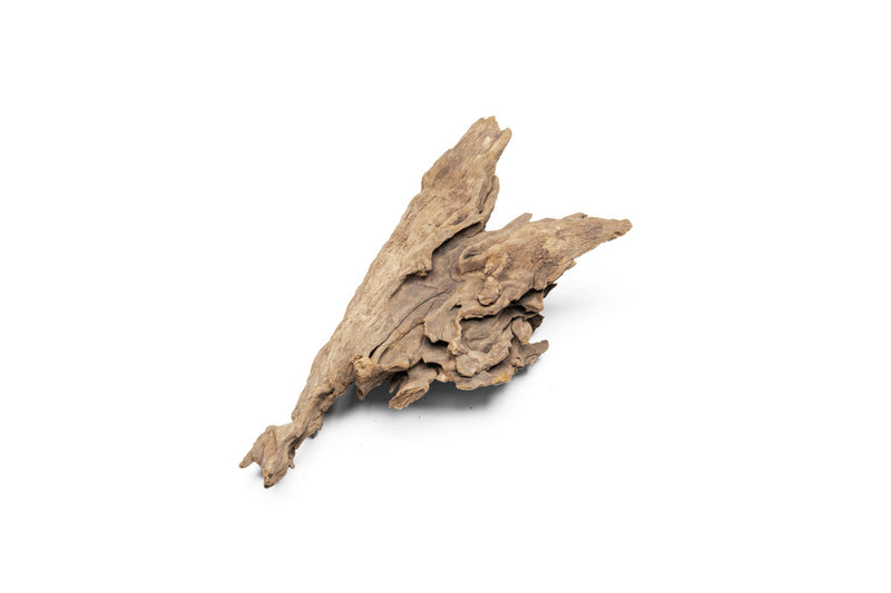 Pacific Driftwood Stump Driftwood - Buce Plant