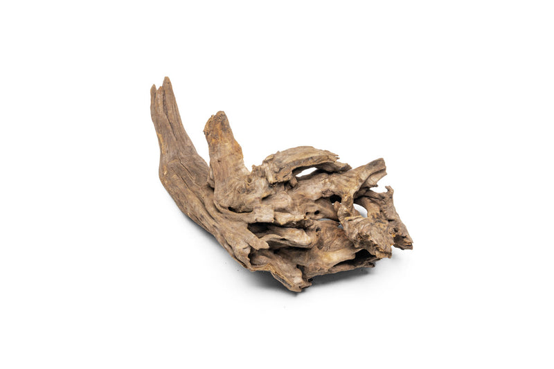 Pacific Driftwood Stump Driftwood - Buce Plant