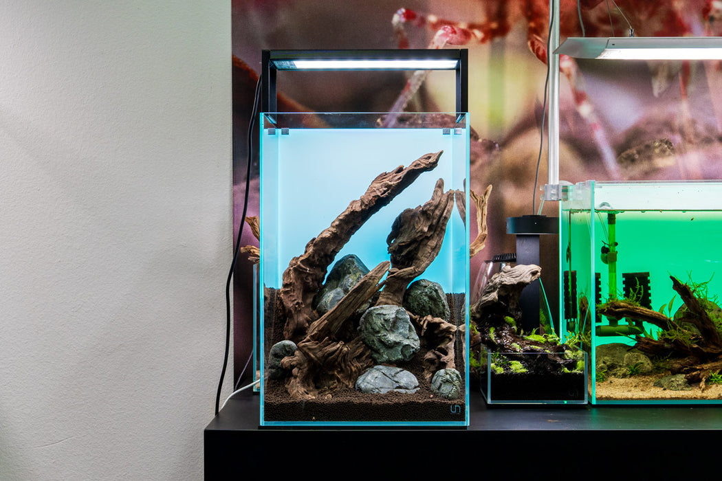 Natural driftwood stump with weathered, textured surface, perfect for coastal or aquarium decor by UNSHARDSCAPE.