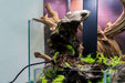 Pacific Driftwood Stump by UNSHARDSCAPE, natural weathered driftwood piece with textured surface and unique organic shape.