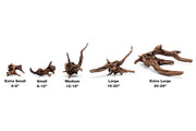 Pacific Wood Driftwood - Buce Plant