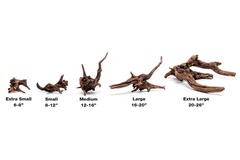 Pacific Wood Driftwood - Buce Plant
