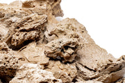 Patagonia Stone by UNSHARDSCAPE featuring a textured, natural stone with earthy tones and unique surface details.