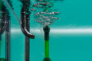 Qanvee Sponge Filter accessory showing a cylindrical sponge filter for aquarium filtration system.