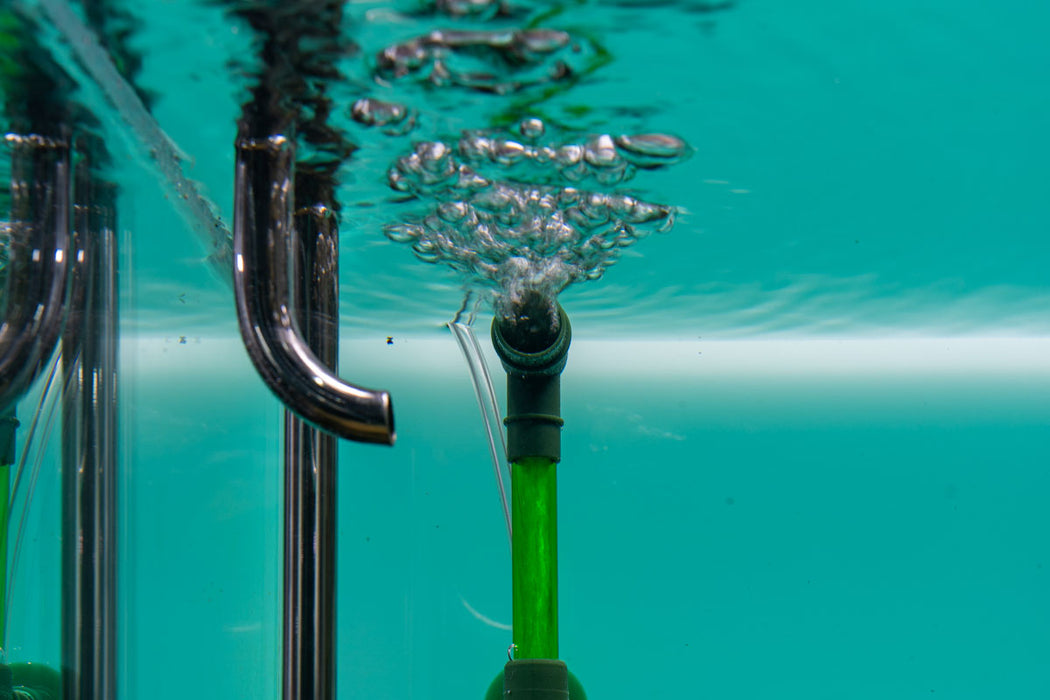 Qanvee Sponge Filter accessory showing a cylindrical sponge filter for aquarium filtration system.