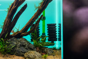 Qanvee sponge filter accessory showing a cylindrical foam filter with plastic frame for aquarium filtration.