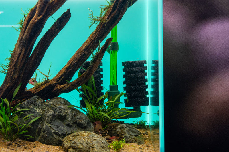 Qanvee sponge filter accessory showing a cylindrical foam filter with plastic frame for aquarium filtration.