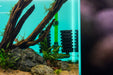 Qanvee sponge filter accessory showing a cylindrical foam filter with plastic frame for aquarium filtration.