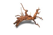 Rasamala Root