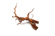 Rasamala Root
