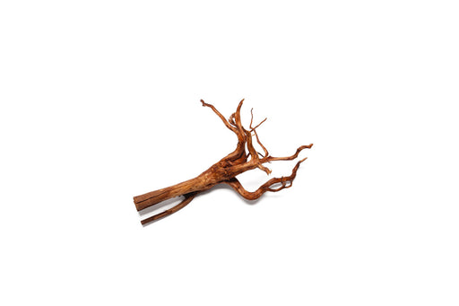 Rasamala Root