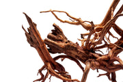 Rasamala Root