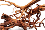 Rasamala Root