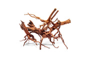Rasamala Root