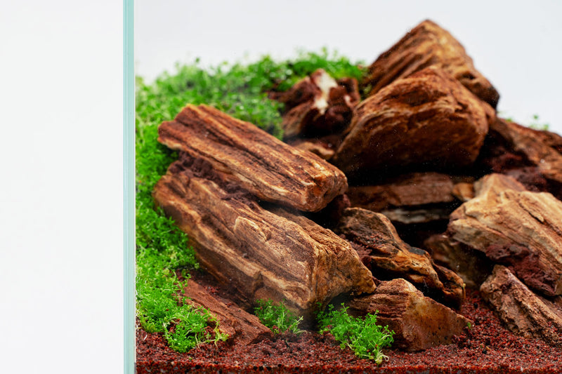UNS Controsand - Pacifica Substrate - Buce Plant
