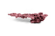 WFR Reef Rock Showpiece (RRS015) hardscape decoration with textured reef rock design, ideal for aquarium or terrarium setups.