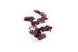 WFR Reef Rock Showpiece hardscape decoration for aquariums, featuring realistic reef rock design and textured surface.