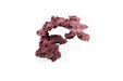 WFR Reef Rock Showpiece (RRS020) hardscape piece for aquariums, featuring a textured rock design suitable for reef tanks.