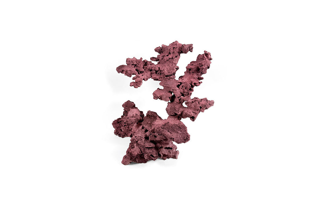 Reef Rock Showpiece (RRS022)