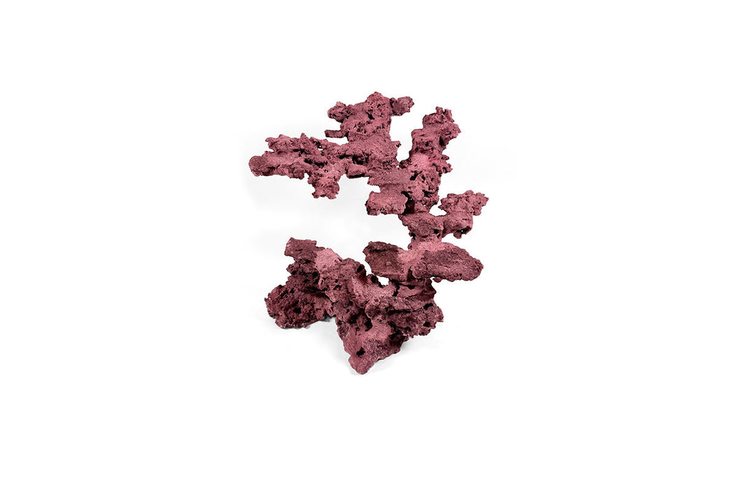 Reef Rock Showpiece (RRS022)