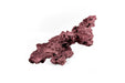 Reef Rock Showpiece (RRS023)