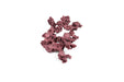 WFR Reef Rock Showpiece hardscape structure with textured reef rock design for aquatic aquarium decoration