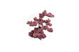 WFR Reef Rock Showpiece hardscape decoration with natural reef rock appearance, suitable for aquarium or terrarium setup.