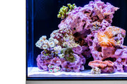 Marco Rocks Reef Saver Rock with coralline algae, 20lb hardscape for marine aquariums, showing textured surface and natural coloration.