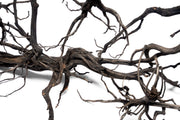 River Driftwood