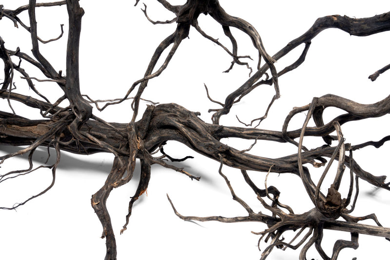 River Driftwood
