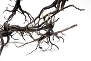 River Driftwood