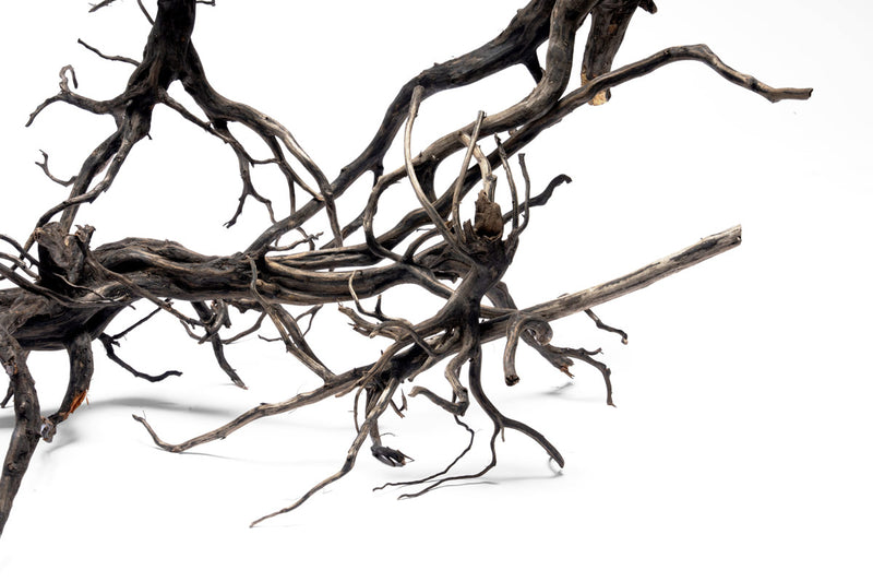 River Driftwood