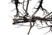 River Driftwood