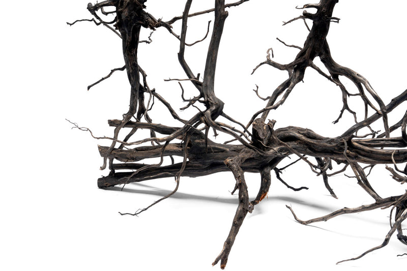 River Driftwood