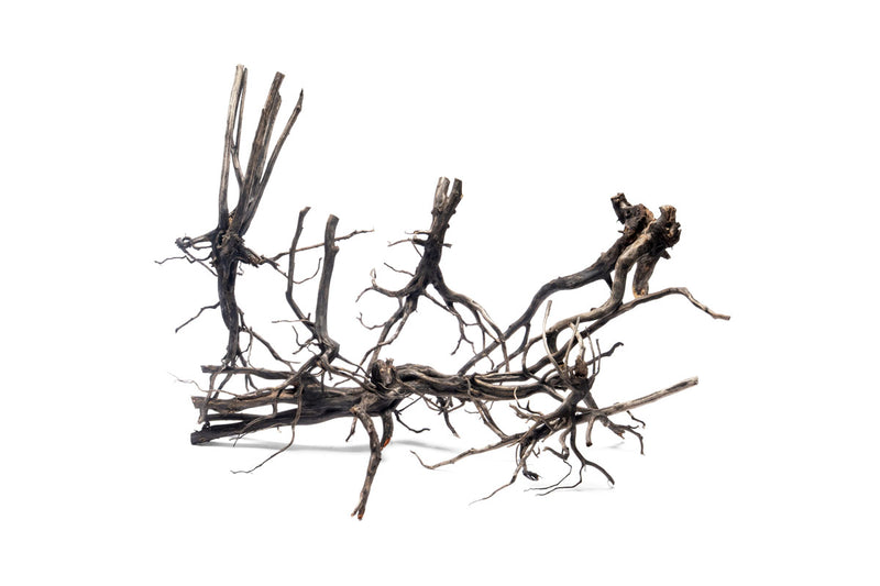 River Driftwood