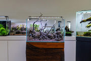 River Driftwood