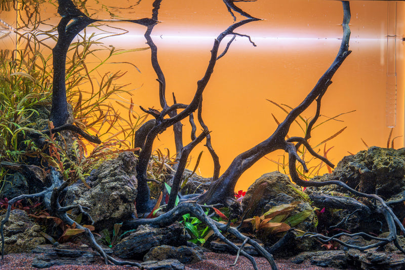 River Driftwood