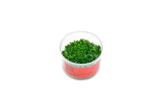 Rotala (Ammania) Bonsai UNS Tissue Culture Aquatic Plant - Buce Plant