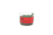 Rotala (Ammania) Bonsai UNS Tissue Culture Aquatic Plant - Buce Plant