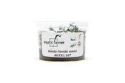 Rotala Florida Sunset Aquatic Farmer Tissue Culture Aquatic Plant - Buce Plant