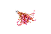 Red Rotala Rotundifolia aquatic plant from ACW with vibrant red stems and green leaves, ideal for freshwater aquariums.