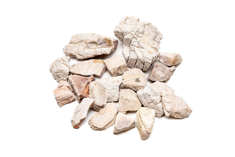 Sand Stone Hardscape - Buce Plant