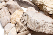 Sand Stone Hardscape - Buce Plant
