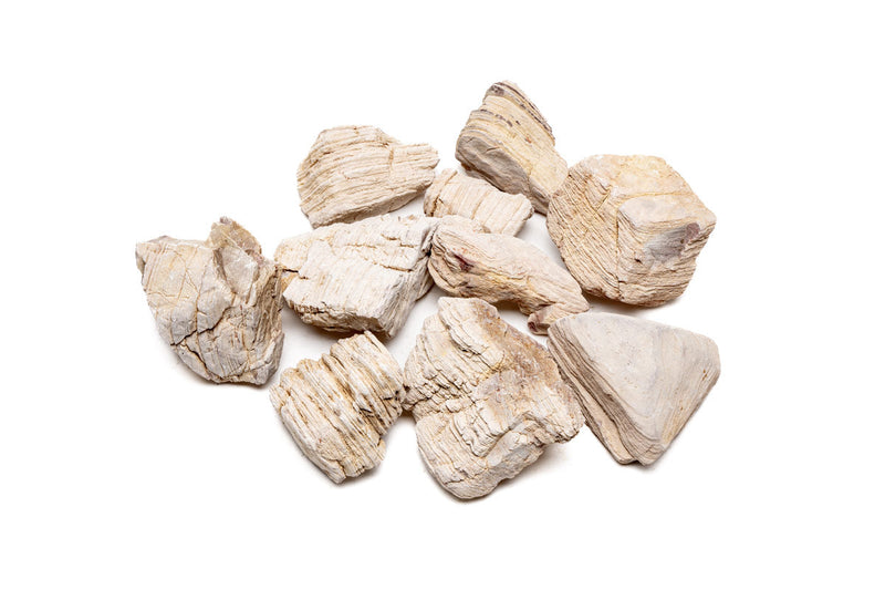 Sand Stone Hardscape - Buce Plant