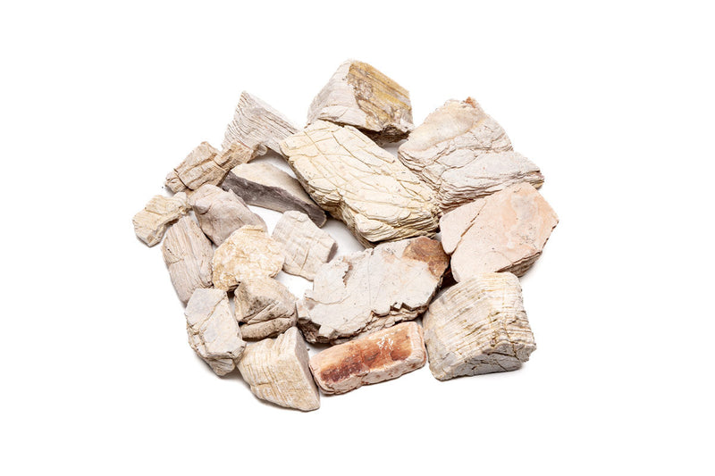 Sand Stone Hardscape - Buce Plant